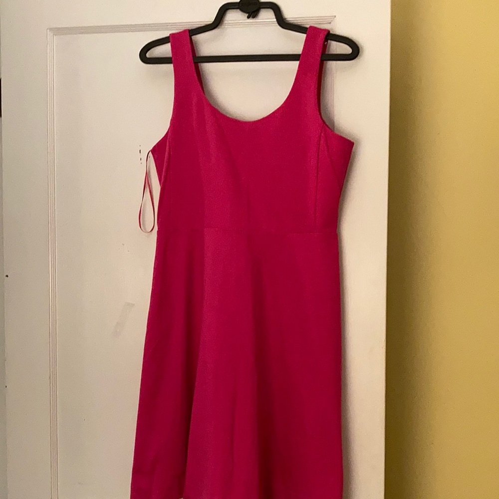J Crew  Dress